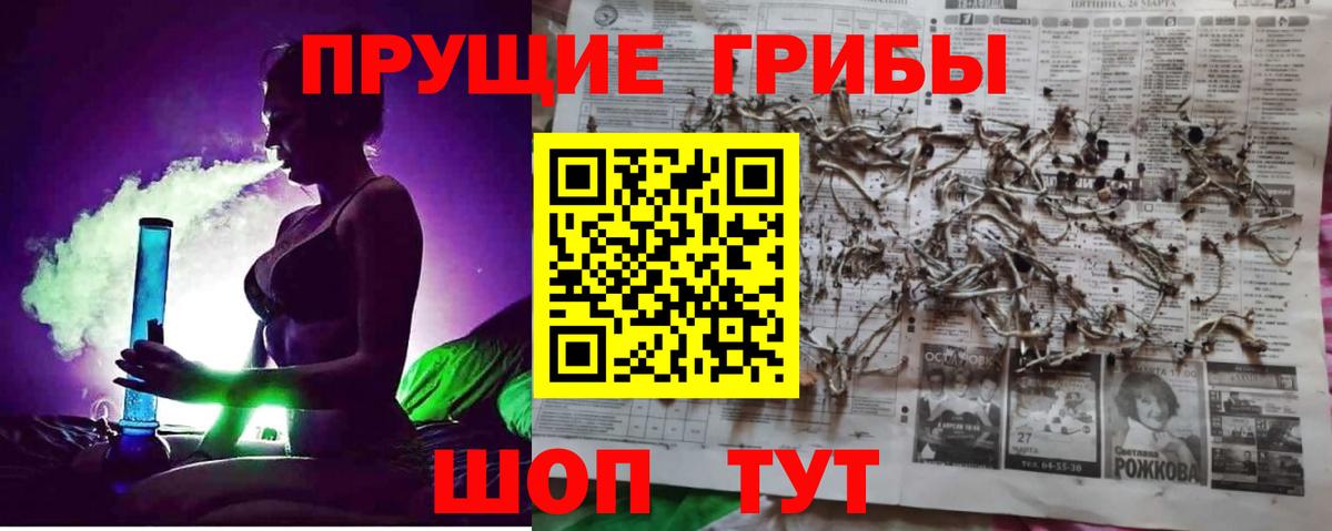 Галлюциногенные грибы Magic Shrooms Красногорск